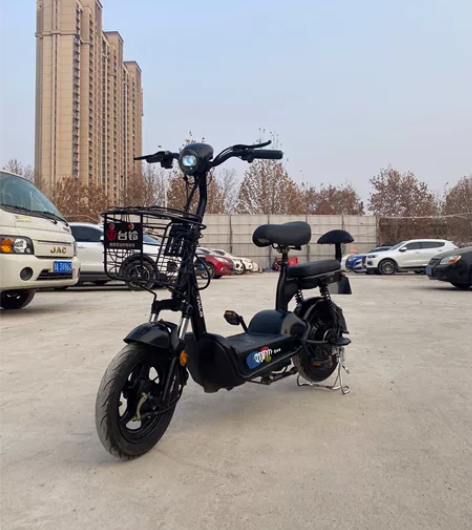 出售个人骑的95新电动车，48伏12安的，...