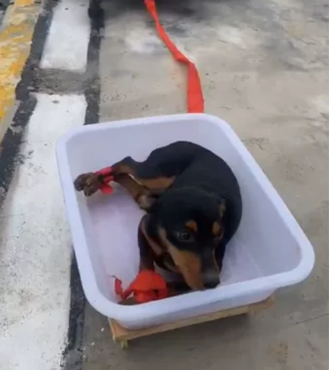 遥控航模飞机F22EPO像真机涵道螺旋桨两...