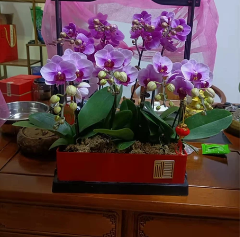 （亏本处理）幸福喜提花篮节日送礼花篮节庆新...