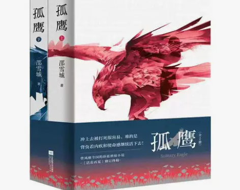 孤鹰  邵雪城 著 全二册 刑侦悬疑卧底小...