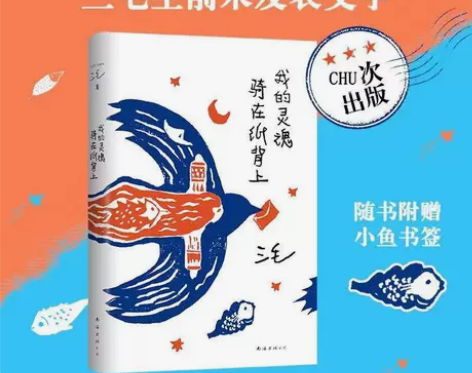 我的灵魂骑在纸背上 三毛著 现代当代文学作...