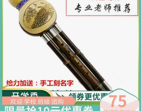 儿童小学生成人初学专业演奏型紫竹葫芦丝乐器...