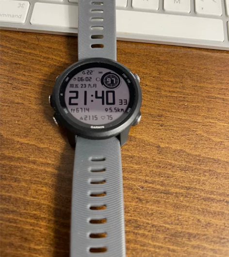 佳明（GARMIN）Forerunner2...