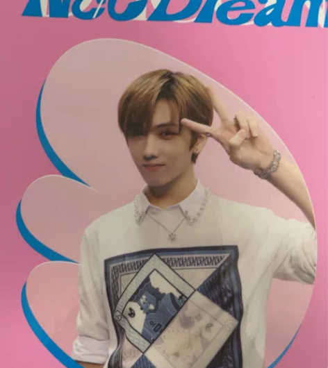 出nct dream d社卡册小卡,除星灿...