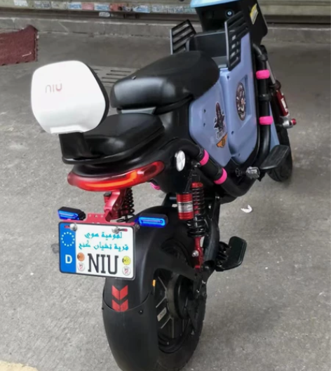 请看清楚帖子再问（已出留帖留念） 佛系出小...