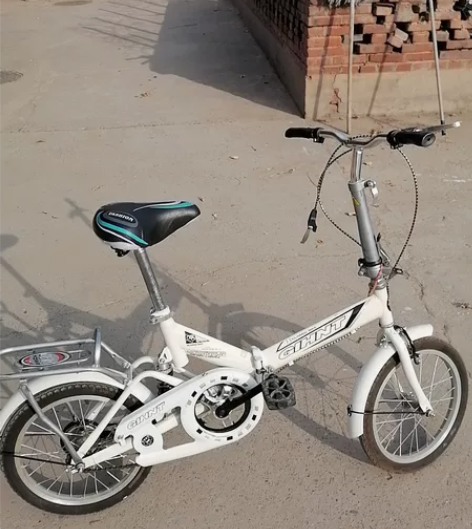 折叠自行车 基本全新 买来没怎么骑，转给有...