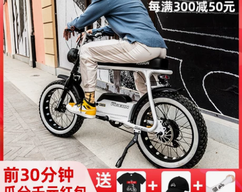 已上牌可过户,飞鸽复古电动车锂电雪地越野助...