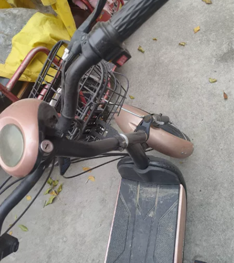 典鸽牌电动车，能跑20公里，可以上牌，不议...