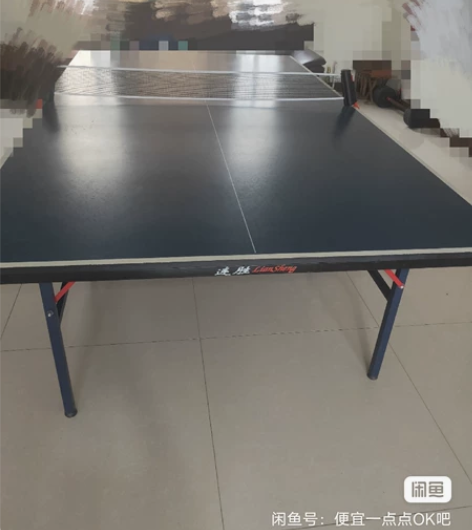 室内乒乓球桌，正常使用，没问题，家里没地方...