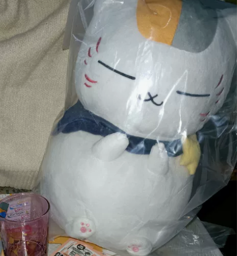 出 全新 猫咪老师星空A赏 30cm娃娃 ...
