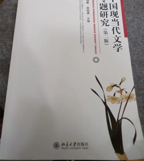 二手正版 中国现当代文学专题研究第二版温儒...