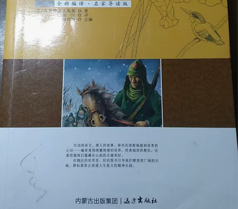 钢铁是怎样炼成的，奥斯特洛夫斯基 著，远方...