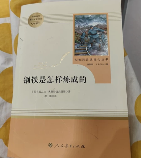 《钢铁是怎样炼成的》奥斯特洛夫斯基 购买于...