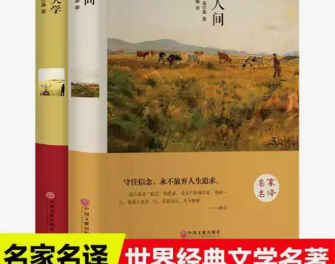 世界经典文学名著名家名译 我的大学 在人间...