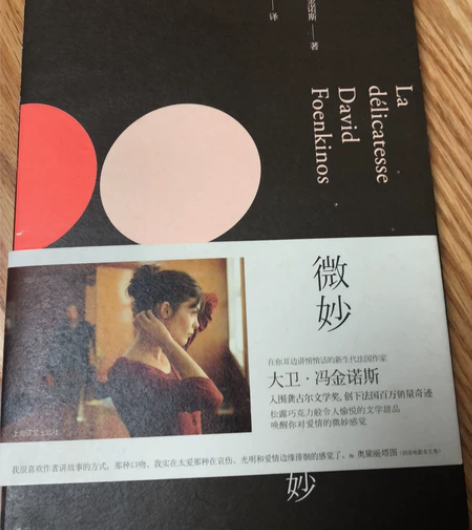 法国作家大卫冯金诺斯 作品，微妙。只看过一...