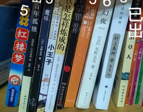 闲置名著 五块一本出 东野圭吾 村上春树 ...