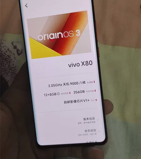 VIVOx80 12+256G 橙...