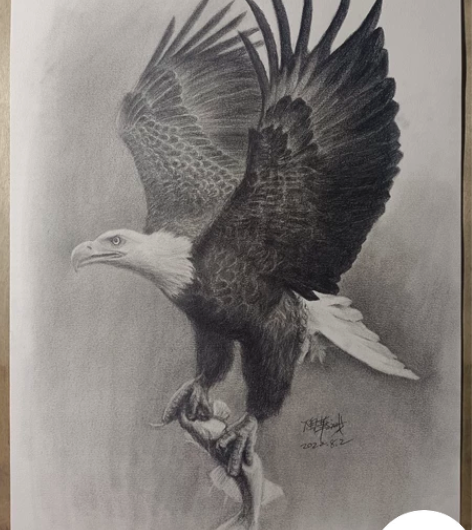 素描作品《鹰》 感兴趣的话点“我想要”和我...