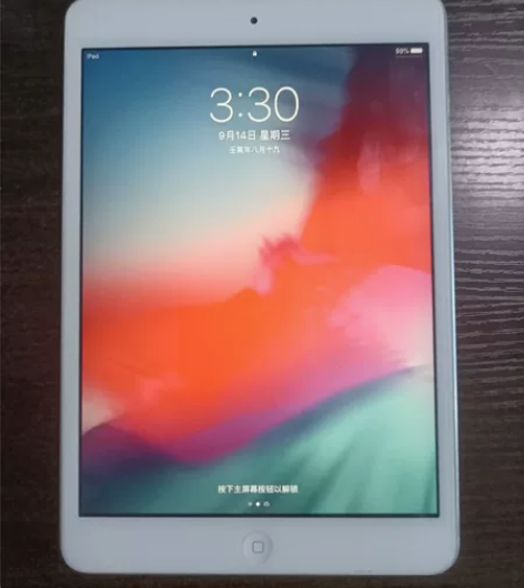 iPad mini 2，16g，自用，花屏...