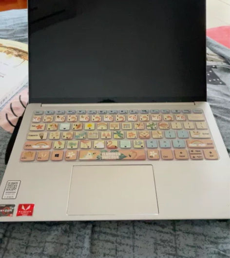 Lenovo/联想 小新Pro13 201...