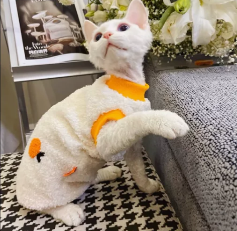 猫狗宠物服装纸样制版图，非纸质，共200款...