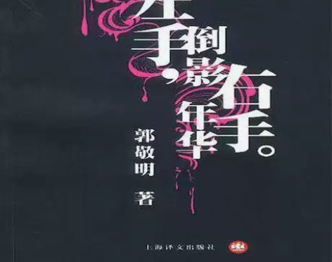 左手倒影，右手年华/郭敬明 郭敬明文集—左...