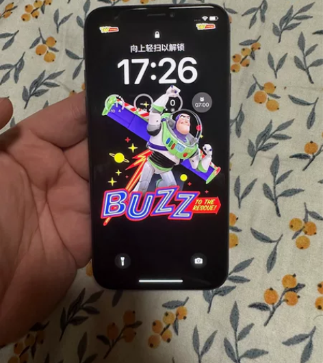 自用iphoneX 64g 全原 原彩 面...