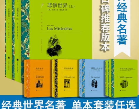悲惨世界 完整版无删减上下2册原版 雨果 ...