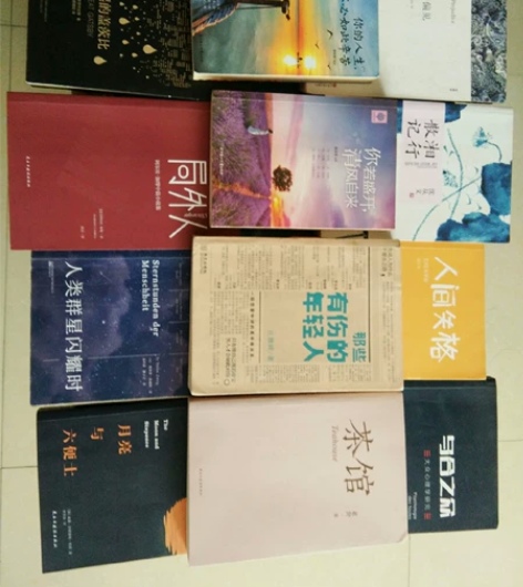 傲慢与偏见 了不起的盖茨比  你的人生不必...