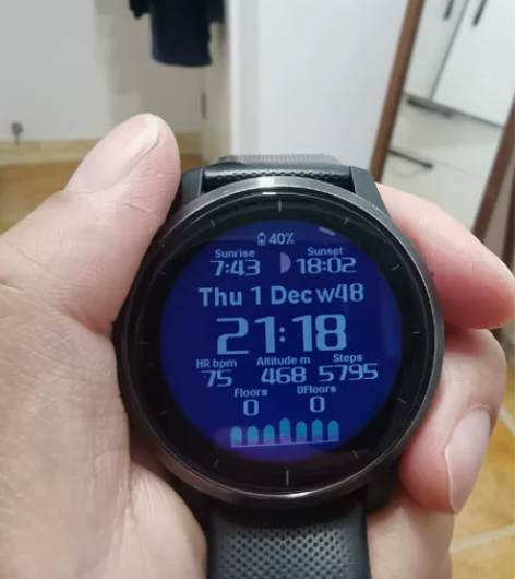 Garmin active 大号的，具体功...