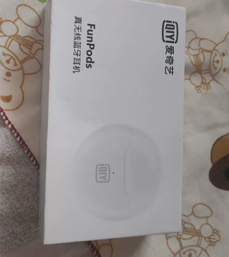 爱奇艺蓝牙耳机 全新未使用??全新爱奇艺耳...