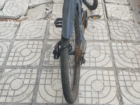 金米尼自行车   很久没起了  需要的自提...