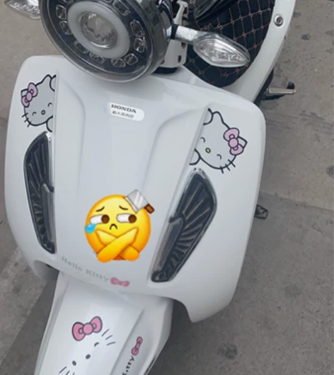 新大洲本田电动车，纯白色，过年550块钱才...