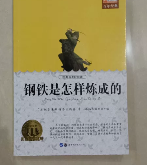 《钢铁是怎样炼成的》奥斯特洛夫斯基，全新的...