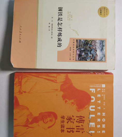 人教 八年级下册语文阅读配套必读《 钢铁是...
