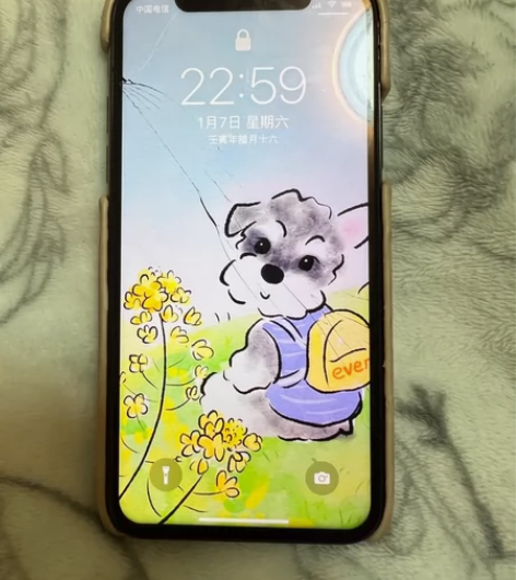 iPhone X自用256g备用机 感兴趣...