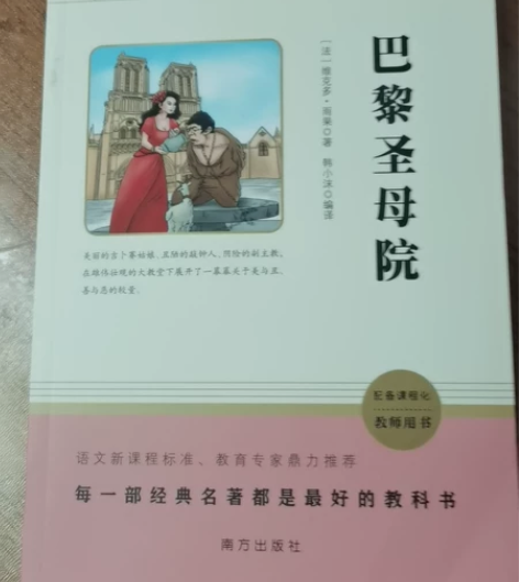 《巴黎圣母院》正版二手书，孩子看的，干净没...
