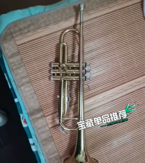 本人出售小号 九成新 音色好 几乎没怎么用...