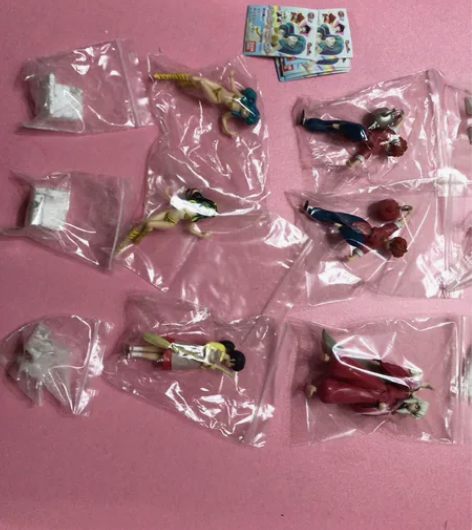 万代hg犬夜叉 拉姆 乱马 相聚一刻 福星...