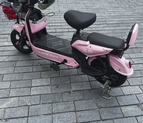 飞鸽电动车，99新，有发票，可上苏州牌，有...