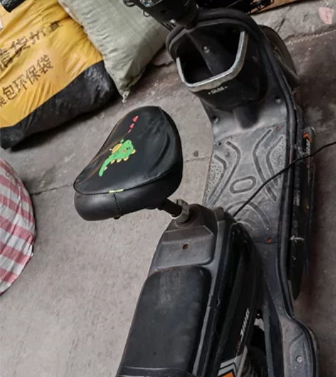 台铃电动车 60v  搬家所以出 续航10...