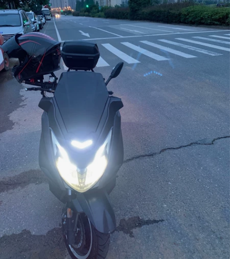 网红大踏板马杰斯特T10（三友牌），金浪1...