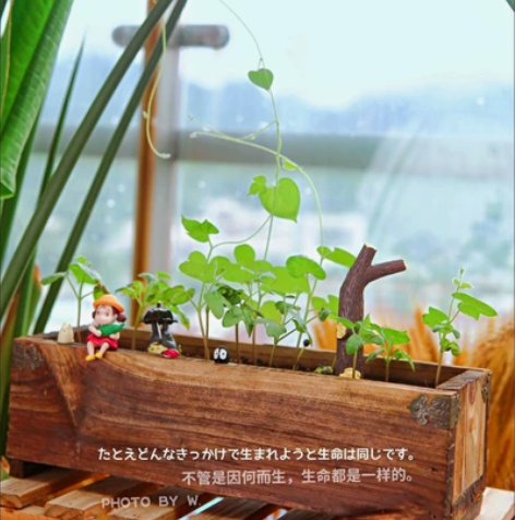 微景观装饰摆件DIY迷你手办树脂工艺 老店...