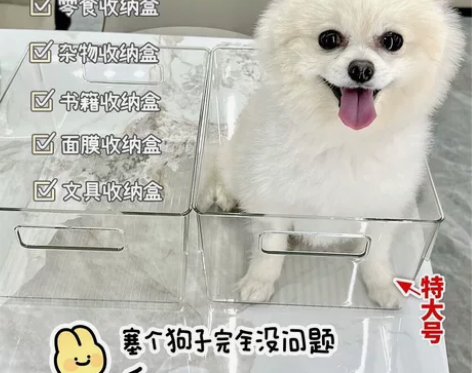 【2个特大号】透明收纳箱装书本储物盒书箱多...