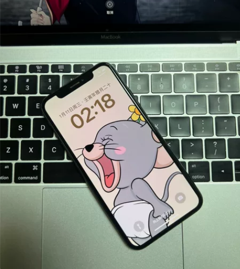 iPhone X钉子户终于换iPhone ...