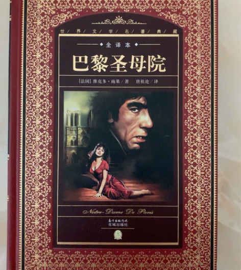 巴黎圣母院巴黎圣母院全译本精世界文学名著典...