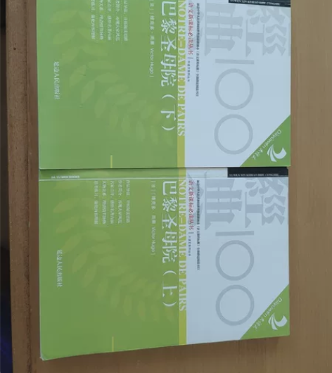 巴黎圣母院，语文新课标必读丛书，延边人民出...