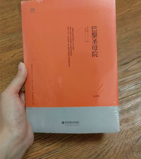 《巴黎圣母院》雨果 全译本全新￥33