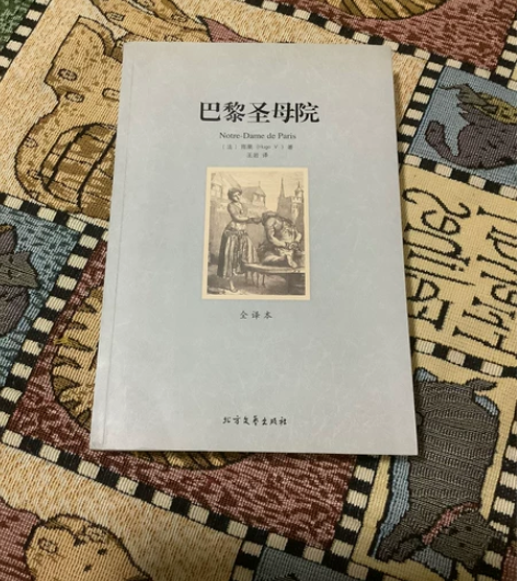 出二手书 国外文学 巴黎圣母院(全译本) ...