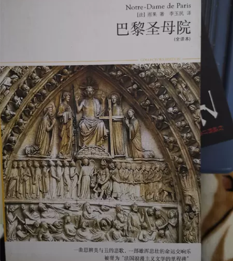 出各类书籍，巴黎圣母院，子夜等  。淘漫画...